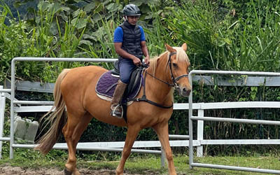 Horse Riding